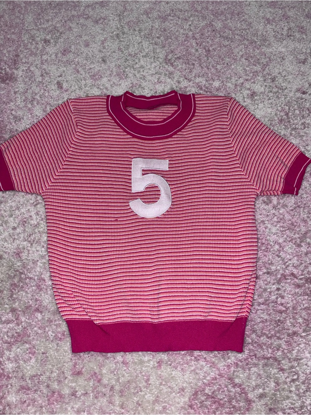 Pink Striped Short-Sleeve Knit Top with Appliqué 5